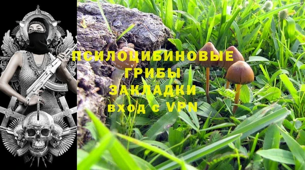 винт Алзамай