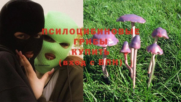винт Алзамай