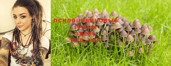 винт Алзамай