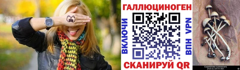 Псилоцибиновые грибы Cubensis Ишимбай