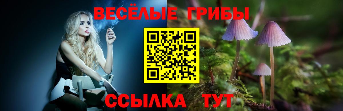 Псилоцибиновые грибы прущие грибы Ишимбай